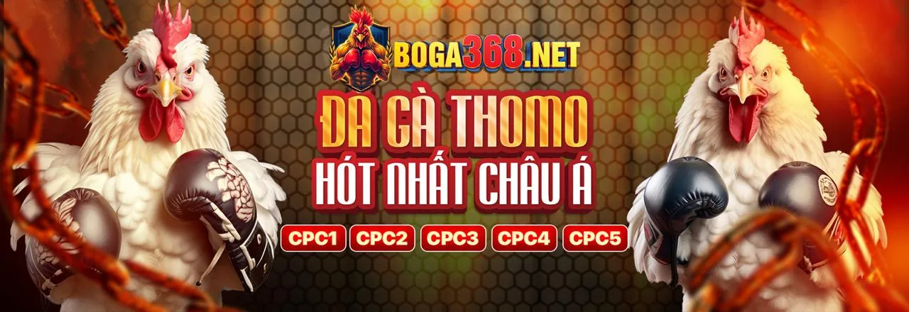 Các môn thể thao khác tin888