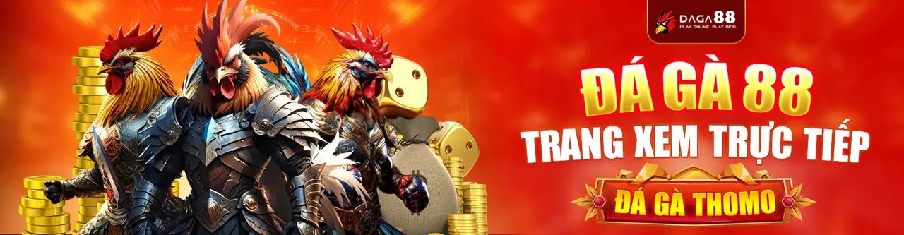 Đá Gà Trực Tuyến tin888
